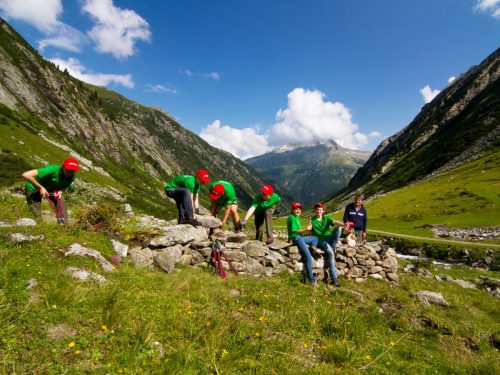 mehrere Menschen bauen eine Steinmauer auf der Alm