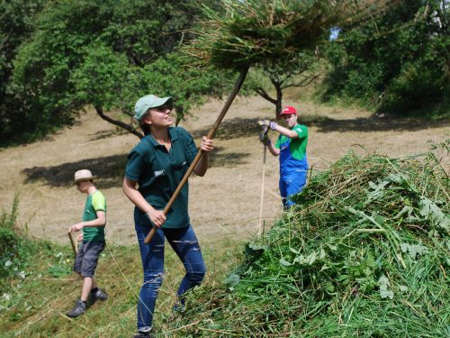 Menschen beim Sensenmäher und Heuwenden